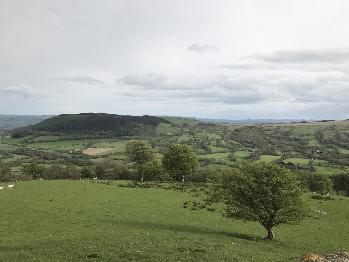 InspAshBrice's tweet image. Great views opposite the house @6pmCLUB. 
A tough climb through mud and brambles logging miles before night shift @6pmCLUB