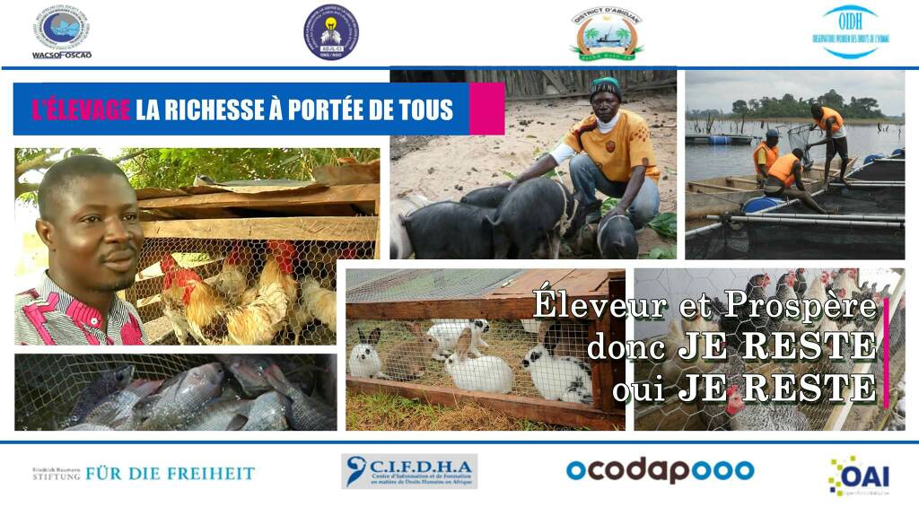 SilvainKRA's tweet photo. Restez et lancez vous dans l'élevage de lapins, vous rendrez des témoignages.

#PrixUEDH2017
#StopDjissra
#CIV225 https://t.co/pMlSCFEO8s