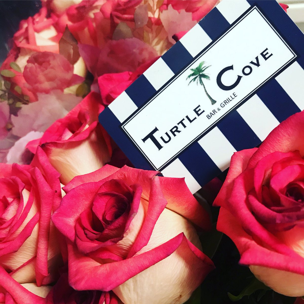 Looking for a last
Minute Mother’s  Day gift?  We’ve got
You covered!  Available in any amount $$❤️🌹🐢🌴#mothersday2018 #marblehead #moms #momsgift #mothersdaygift