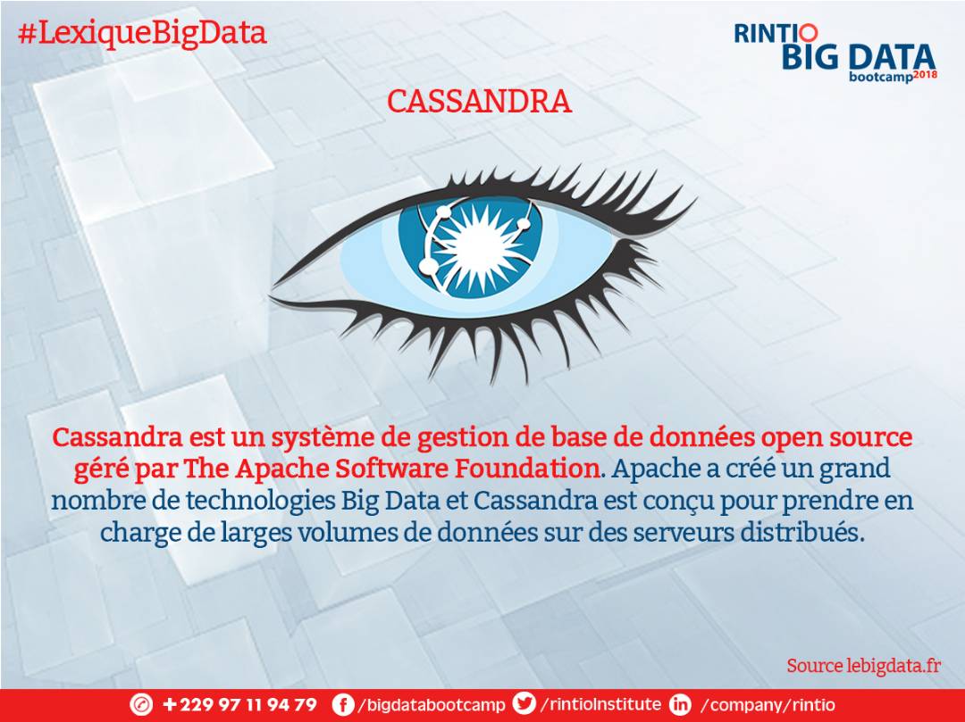 RintioGroup's tweet image. #LexiqueBigData
Nous vous proposons de visiter les nombreux termes techniques du domaine Big Data.
Cassandra
#BigDataBootcamp