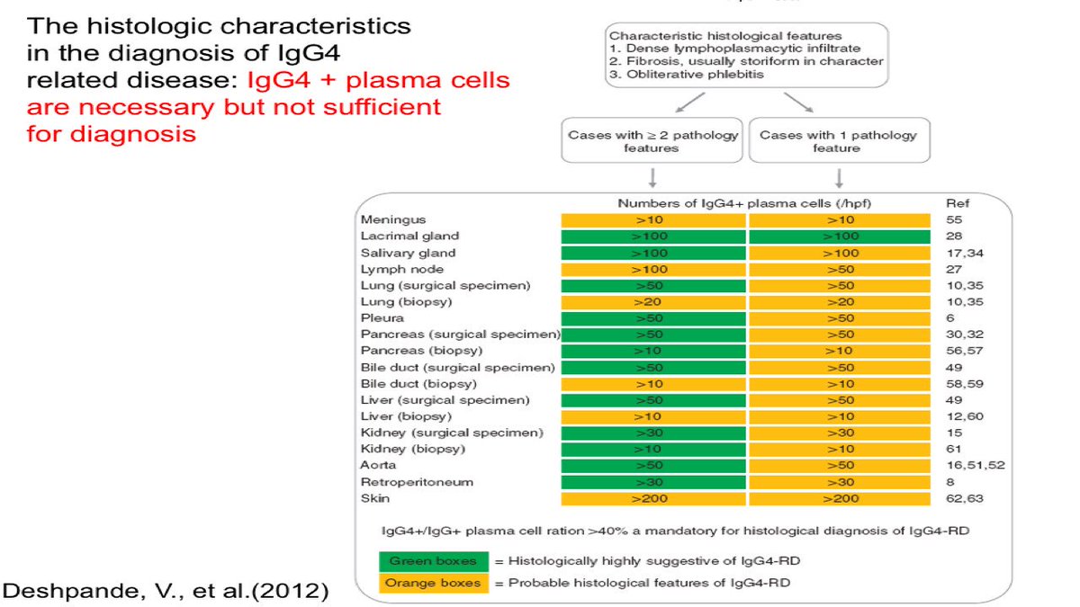 GraceGuzmanMD's tweet photo. It’s Saturday 

Histopathological Characteristics of IgG4 related disease https://t.co/QtPpbH73gv