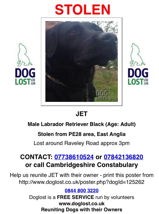 Dr_Dan_1's tweet photo. This is JET the male black Labrador. He was stolen from Great Raveley #Huntingdon #Cambridgeshire on 6th February 2018. His family are lost without him.
Please RT to help make JET #TooHotToHandleUK #FindStolenJet #DogTheft @FindStolenJet @DoglostUK https://t.co/2PpKOwHQE0 https://t.co/QTWUDmd12G