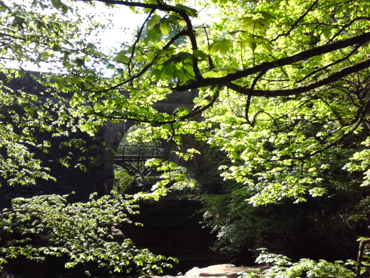 VisitUpperEden's tweet photo. Interesting #riverbed and #geology along the #rivereden in #kirkbystephen lovely #walking or to just enjoy the #peace and #tranquillity in upper #stenkrith
#edenvalley #Cumbria #westmorlanddales https://t.co/twOWHY9oLO