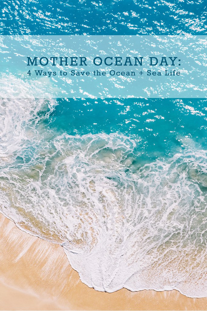 JMacLeanDesign's tweet image. Mother Ocean Day, May 12th, is a holiday dedicated to keeping our ocean clean, healthy and balanced. Though there are seven seas, there is only one world ocean.  Read on to find out four ways to save the ocean this Mother Ocean Day.

&amp;gt; petalandpost.com/blogs/blogpost…