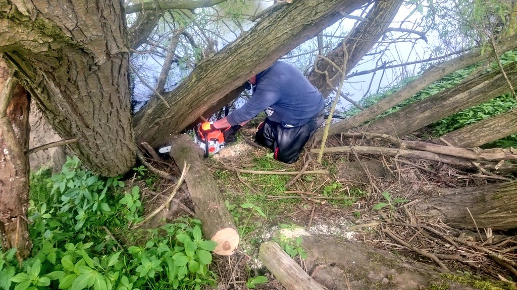 ProfJGrey's tweet photo. A cracking day for a @WildTroutTrust #habitat workshop with the dedicated &amp; enthusiastic @wetherbyanglin funded by @YorkshireWater. Hinging + deflector creation 1/2 https://t.co/ozCtCd6uZr