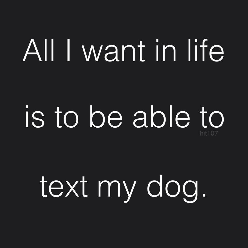 4_Legger's tweet image. You know it’s true. #Saturday #dogparentproblems