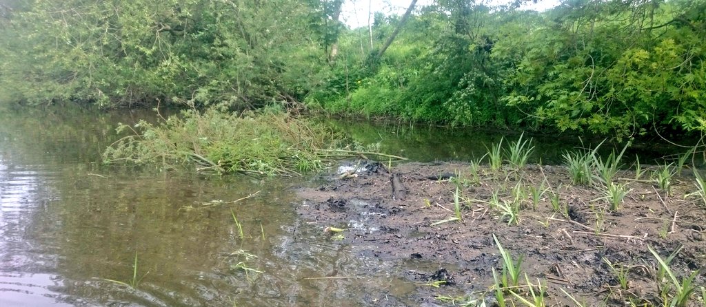 ProfJGrey's tweet photo. Brash mattress creation to extend deposition zone + backwater fry refugia. Quick look @ Collingham Beck too...dubious colour mixing with Wharfe @WildTroutTrust @YorkshireWater workshop https://t.co/Tos6uKJffv