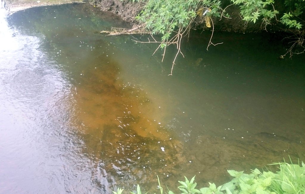 ProfJGrey's tweet photo. Brash mattress creation to extend deposition zone + backwater fry refugia. Quick look @ Collingham Beck too...dubious colour mixing with Wharfe @WildTroutTrust @YorkshireWater workshop https://t.co/Tos6uKJffv
