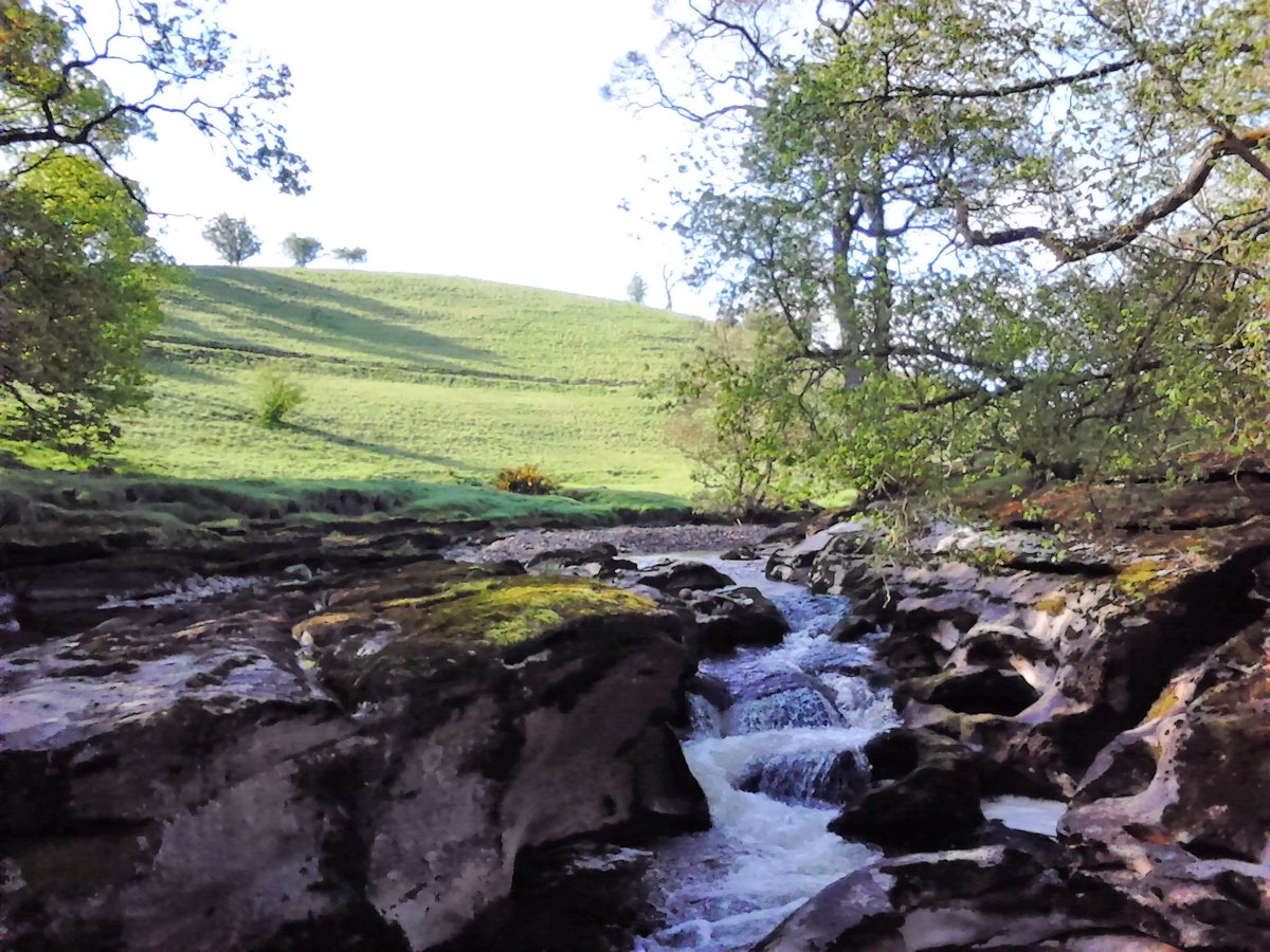 VisitUpperEden's tweet photo. Interesting #riverbed and #geology along the #rivereden in #kirkbystephen lovely #walking or to just enjoy the #peace and #tranquillity in upper #stenkrith
#edenvalley #Cumbria #westmorlanddales https://t.co/twOWHY9oLO