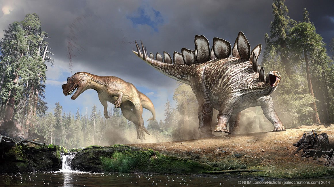 NHM_London's tweet photo. What's the coolest dinosaur? Swot up on your dino facts ahead of the next #NHM_Live broadcast when four of our experts battle it out for the top spot. Tune in on Wed 16 May, 17.30 BST https://t.co/uFQTioRh4O https://t.co/C9MLuDJq2F