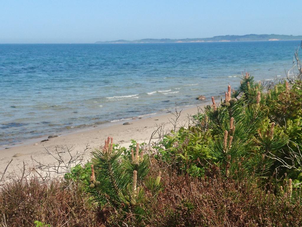 BuckfastDanish's tweet photo. Spent the day on my island mating station, on the island Tunø [Tunoe]. What a wonderful day. We have to remember to enjoy the nice surroundings that we work in, and not only have eyes for drones and honey supers. #buckfast #queenbreeding https://t.co/qWyGraLEBu