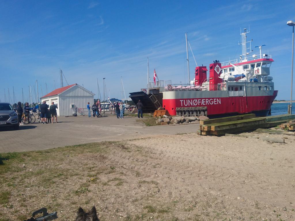 BuckfastDanish's tweet photo. Spent the day on my island mating station, on the island Tunø [Tunoe]. What a wonderful day. We have to remember to enjoy the nice surroundings that we work in, and not only have eyes for drones and honey supers. #buckfast #queenbreeding https://t.co/qWyGraLEBu