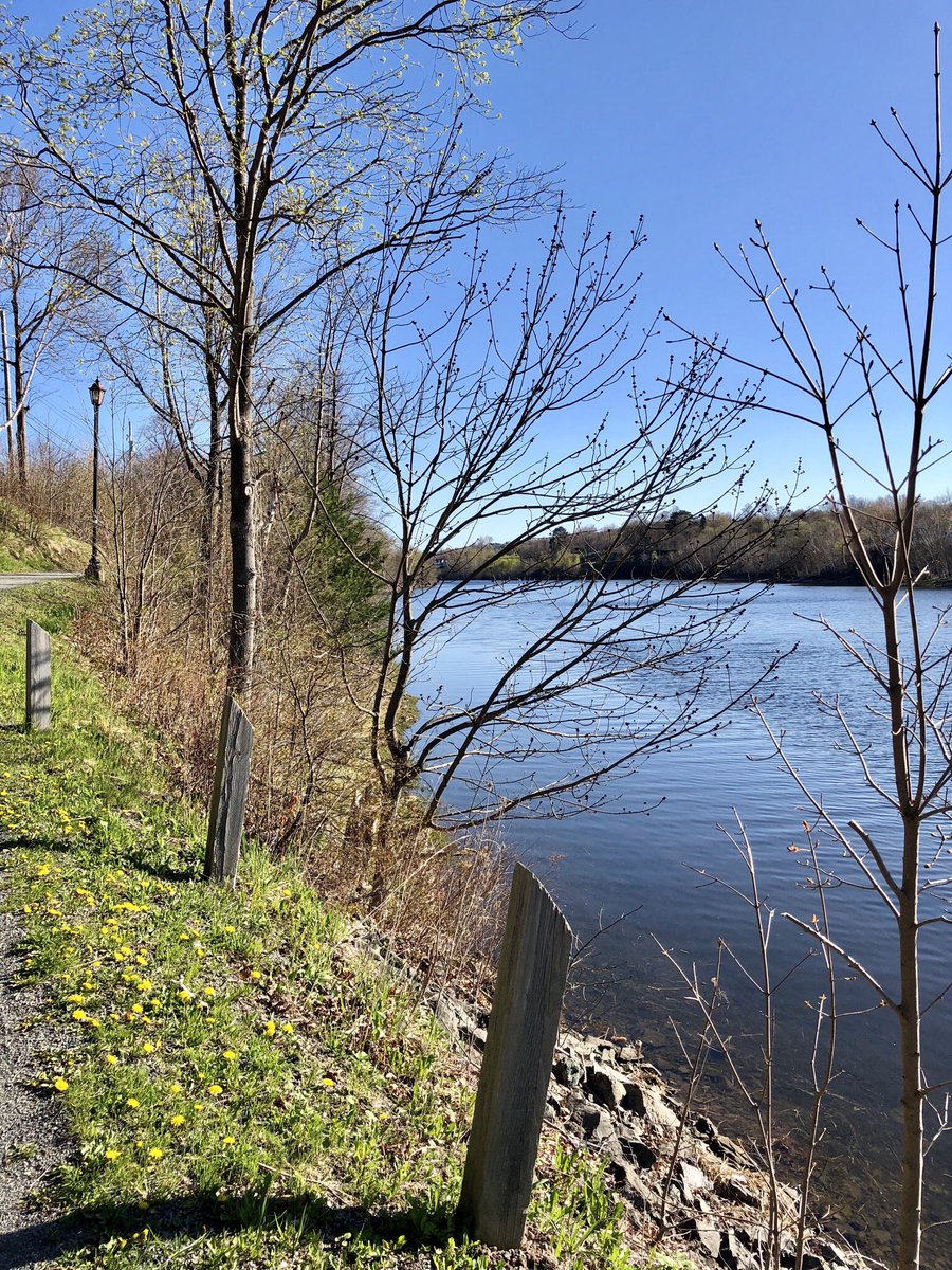 NewGlasgowNS's tweet photo. It’s a great day for a walk or run on the trail system #SamsonTrail #NewGlasgow #ActiveforLife @PCtrails @TCTrail @NSTrails https://t.co/G4hlEpwtaH
