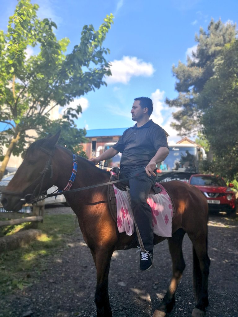 ve instructional horseback riding 101 <a href="/TufanAdiguzel/">Tufan Adıgüzel</a> 😂