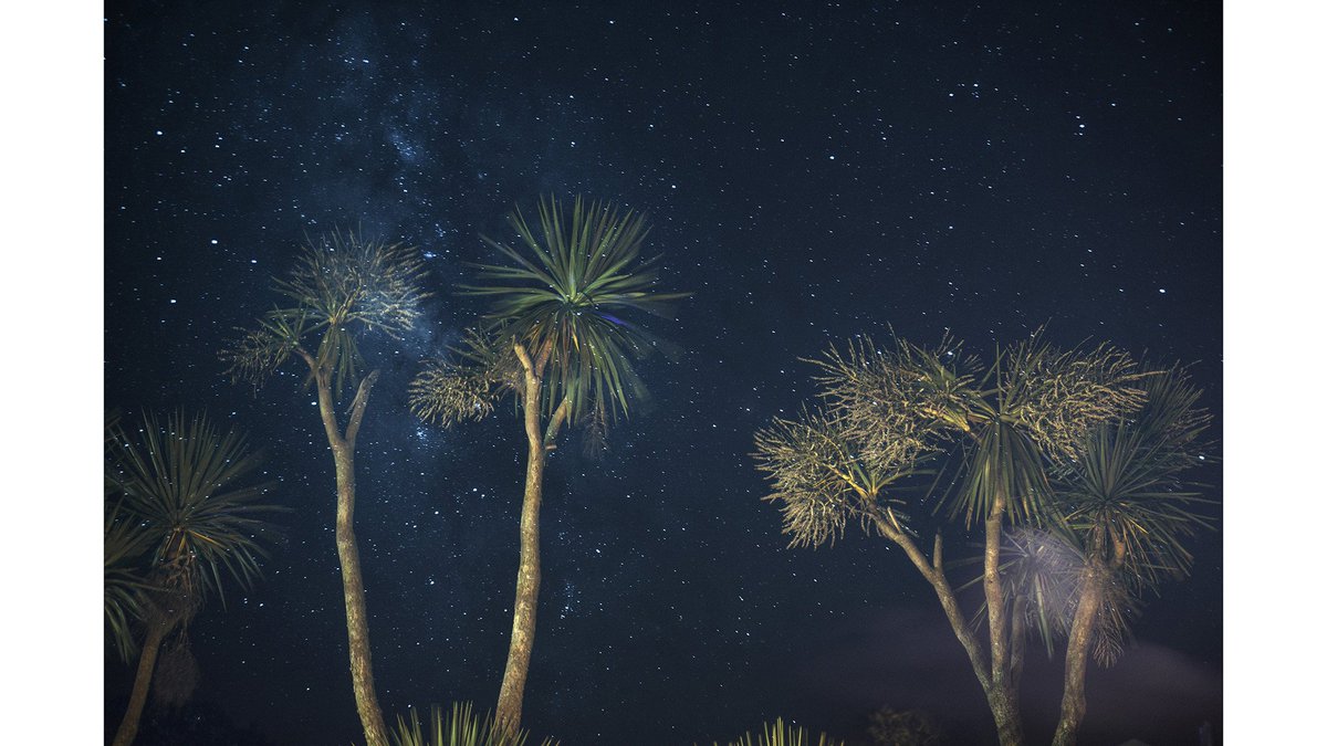 Explore the capital after dark. #LondonNights, now open <a href="/MuseumofLondon/">MuseumofLondon</a> features work by RCA staff and <a href="/AlumniRCA/">Alumni RCA</a>. Running in parallel, #NightVisions is a display of new photography by students from <a href="/PhotoRCA/">RCA Photo</a> &amp; <a href="/LCCLondon/">LCC</a>  ow.ly/vQ6d30jWXAs
<a href="/PhotoRCA/">RCA Photo</a> <a href="/RCAartshuman/">RCAartshumanities</a> <a href="/rutlux/">rut blees luxemburg</a>