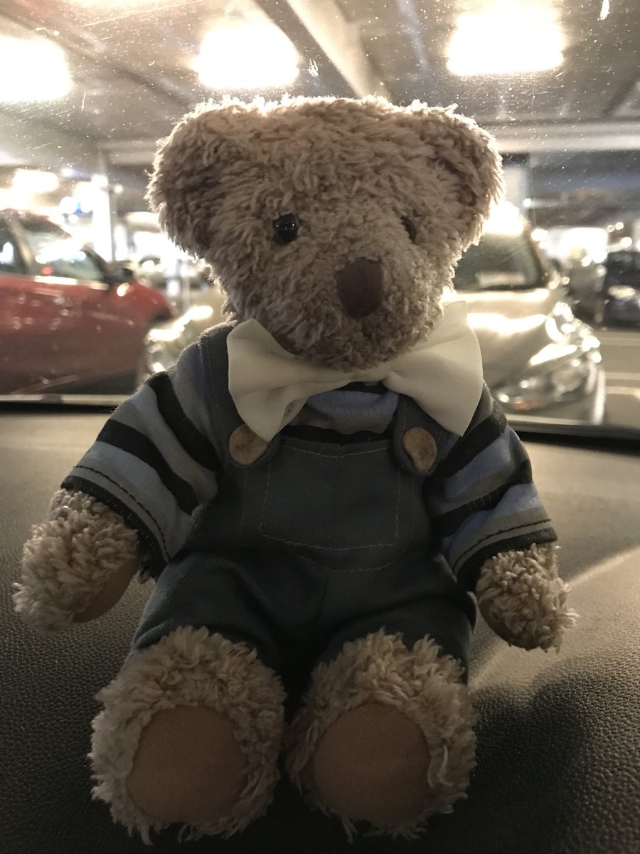 <a href="/IKEAIE/">IKEA IRELAND</a> Found this lost soul in Ikea. We give it in to lost and found if anyone is looking for the poor chap. 😕