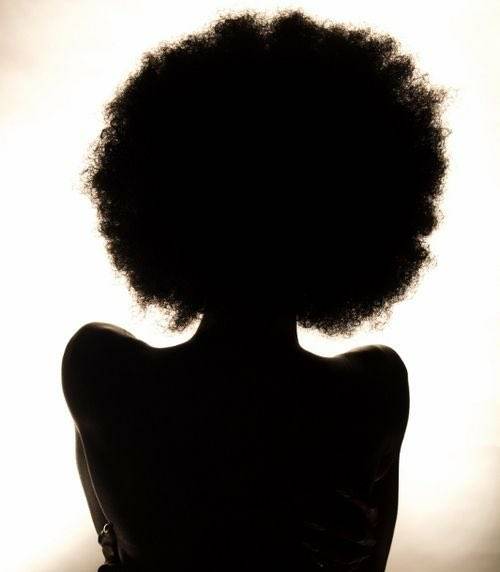 AllMediaLinked tweet media