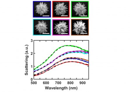 kotov_group's tweet photo. Our new #JPhysChemC paper - "SCATTERING PROPERTIES OF INDIVIDUAL HEDGEHOG PARTICLES"
#Hedgehog #Scattering #microparticles @JPhysChem
https://t.co/4Q34clBDjT https://t.co/SEfCS6ppOi