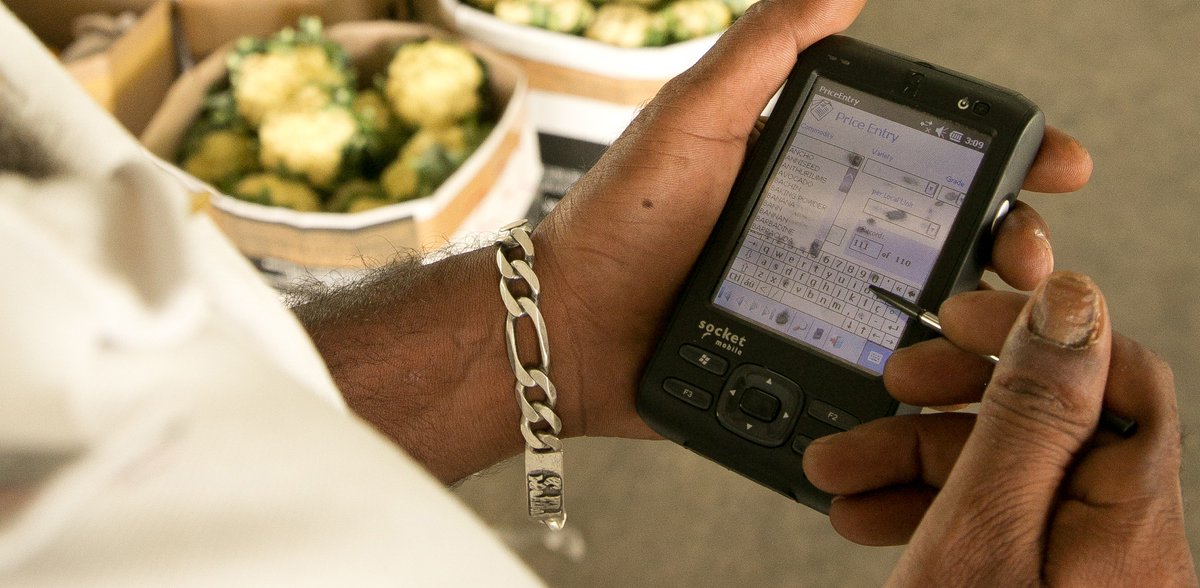 CTAflash's tweet photo. CTA’s project #Data4Ag opens new door to #data-driven services for smallholder farmers in #ACP. Through farmer #profiling &amp; registration, smallholder farmers have  access to new services in finance in #Uganda ➡️  https://t.co/nUHNGwh4KS | #ICT4Ag https://t.co/G3PhPbLrQM