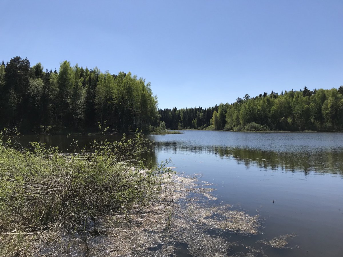 brolikemee's tweet image. How is your day going?  #SaturdayMorning