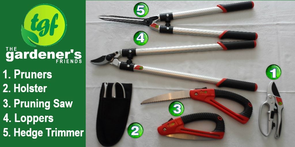 gardenerfriends's tweet photo. The Gardeners Friends Pruning Tools: 

1. Pruners - https://t.co/RhP6MKdOVA 
2. Holster - https://t.co/amheujlDd4 
3. Pruning Saw - https://t.co/XGCR6hxiqy 
4. Loppers - https://t.co/vtV8GPP7NP 
5. Hedge Trimmer - https://t.co/6t4niLSicC 
#gardening #pruners #pruning #pruningtool https://t.co/7y7sgwO94I