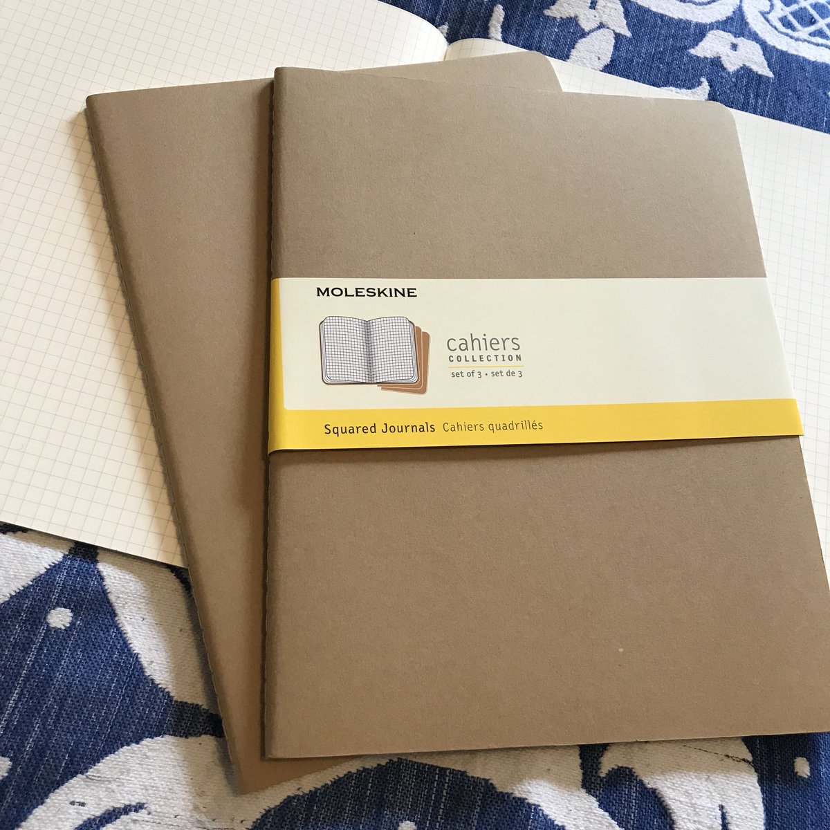 LibarnaULP's tweet photo. Pretty excited for our new #fieldnotebook from @moleskine ! We like the square grids - better for archaeological diagrams! #fieldschool #Archaeology #fieldnotes #stationerynerd https://t.co/1ncNX5MAKj