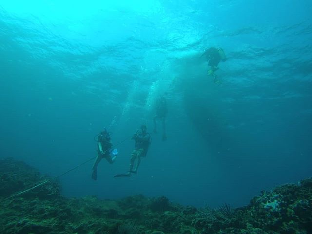 SCUBAPANAMA's tweet photo. Modo: bajando a las profundidades para este fin de semana🔛👌
¿quién más nos acompaña?
#diveweekend #scubadive #buzosdelitsmo👌 #uwphotography #scubapanama #scubaportobelo #Portobelo #oceanoAtlántico #vidamarina #diverlife https://t.co/MVB9b4cPII