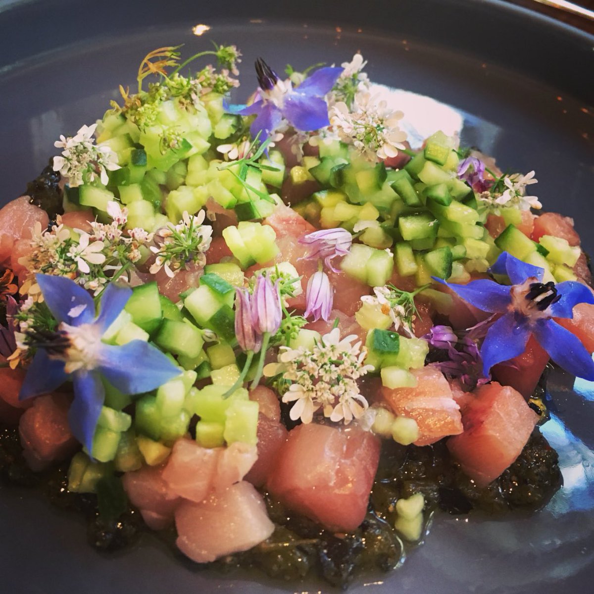 Just some of the incredible dishes enjoyed during the Tasting Menu at the stunning <a href="/gibson_sf/">Gibson</a>. The freshest food, beautifully plated, showcasing some of the best cooking in #SanFrancisco. An absolute must visit!   Review coming soon. 🍴🍸 #foodie #luxury 📸: <a href="/bencoasts/">Ben Street</a>