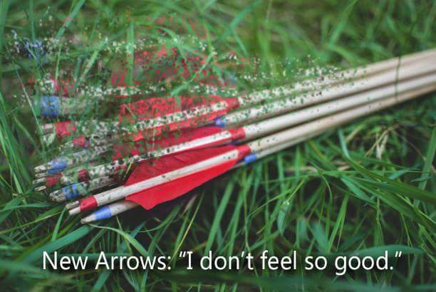 When you head down to the dense forest course to try out your new arrows but you're not used to the targets there...