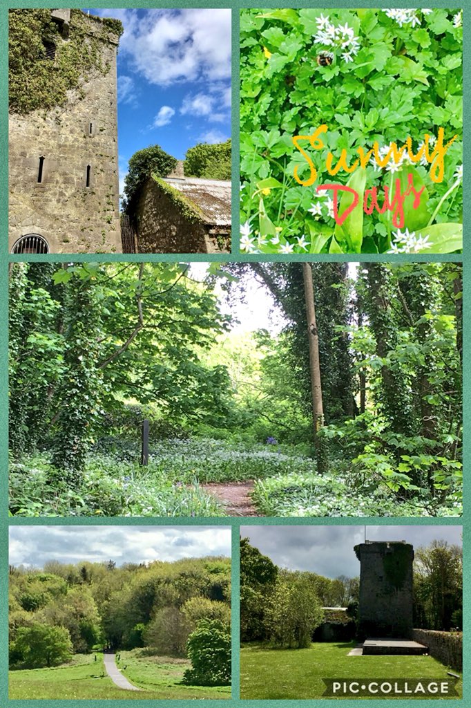 Beautiful weekend to #GetOutdoors and <a href="/DiscoverIreland/">Discover Ireland</a> pics of #RinvillePark #Oranmore