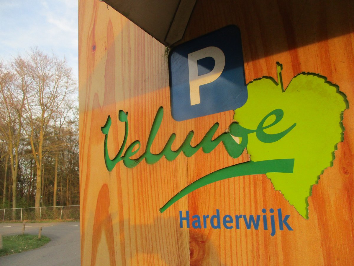 ctvdheijden's tweet photo. Parkeer ruimte genoeg op mooi #Veluwe mooi en vaak heerlijk weer met veel groen @vdValkHotels @veluwegld @RTVeluwe @OnzeVeluwe @OnzeVeluwe055 @BeleefHwijk #HeerlijkHarderwijk @HotelHarderwijk #nunspeet #Hulshorst #Ermelo #Hierden #Tourisme @visitveluwe #natuur https://t.co/xOjRz7zWLA