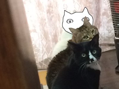 水好き Mizuzuki02a Twitter