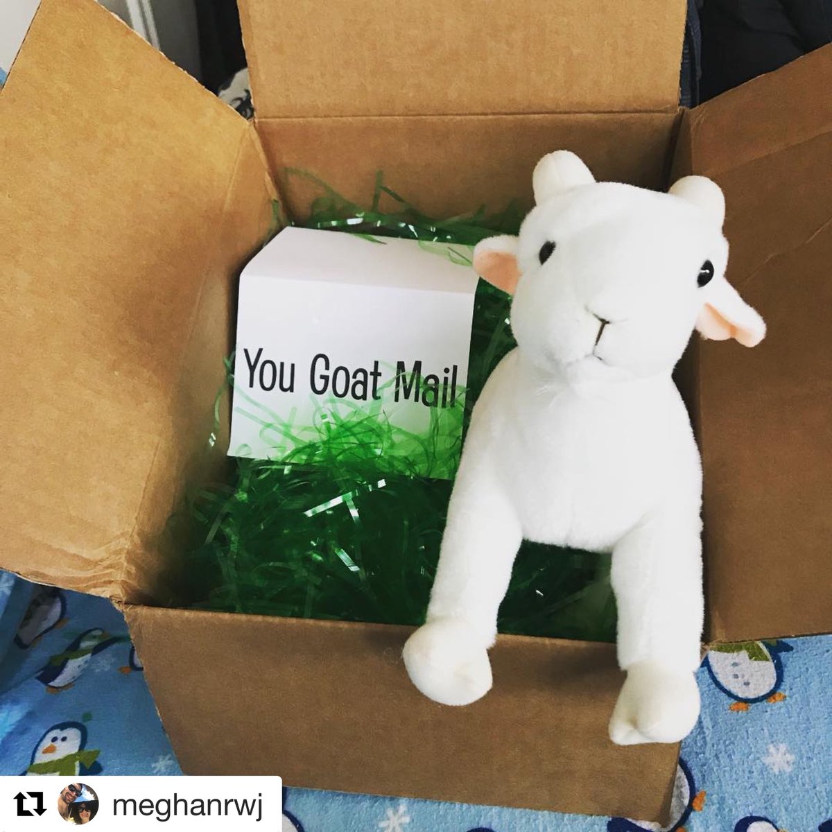 You Goat Mail tweet media