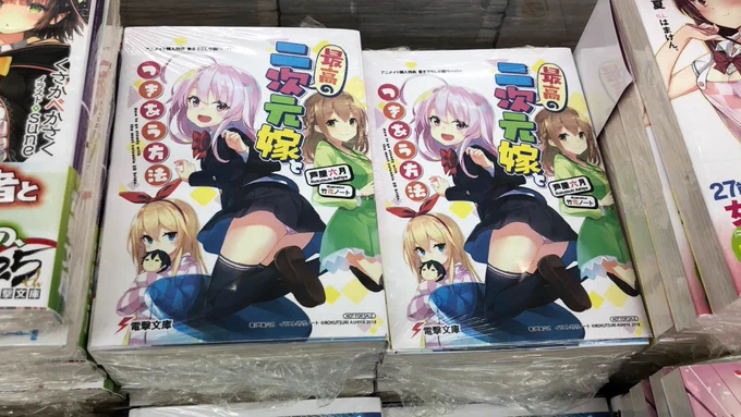 二次元嫁置いてありました!
近所の本屋さんでは見つからなかったので見つけられてよかった(*'꒳`*) 
