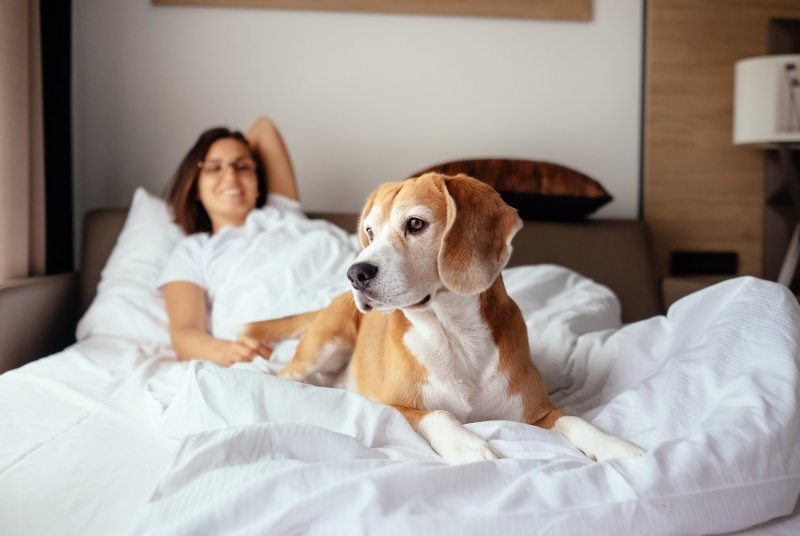 updogbox's tweet photo. Happy National Dog Mom’s Day! Your puppers might not be able to bring you breakfast in bed, but they’ll definitely want to cuddle! #BecauseDogsRule https://t.co/KcwGBVxToY