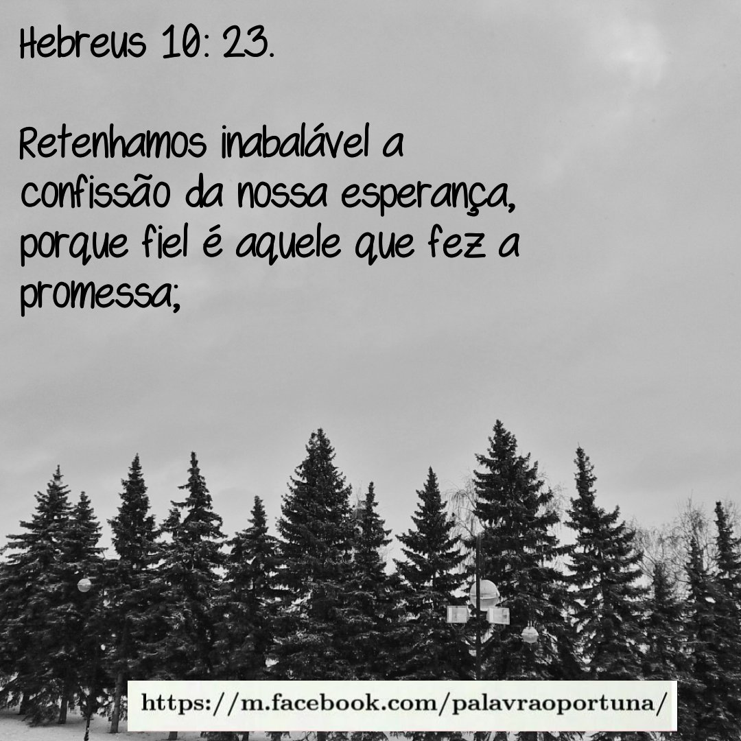 Silvana (@silvana_beta) on Twitter photo 