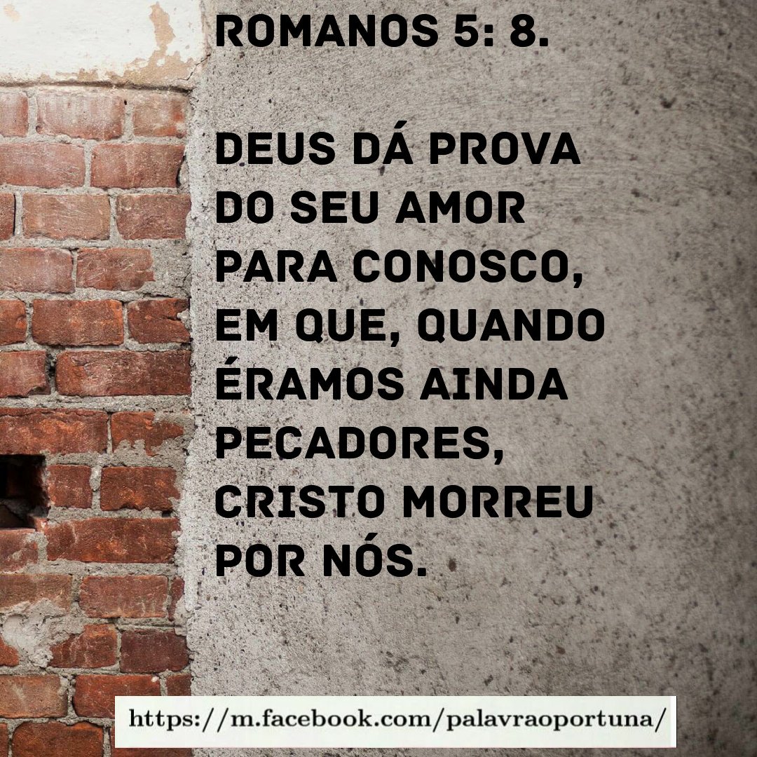 Silvana (@silvana_beta) on Twitter photo 