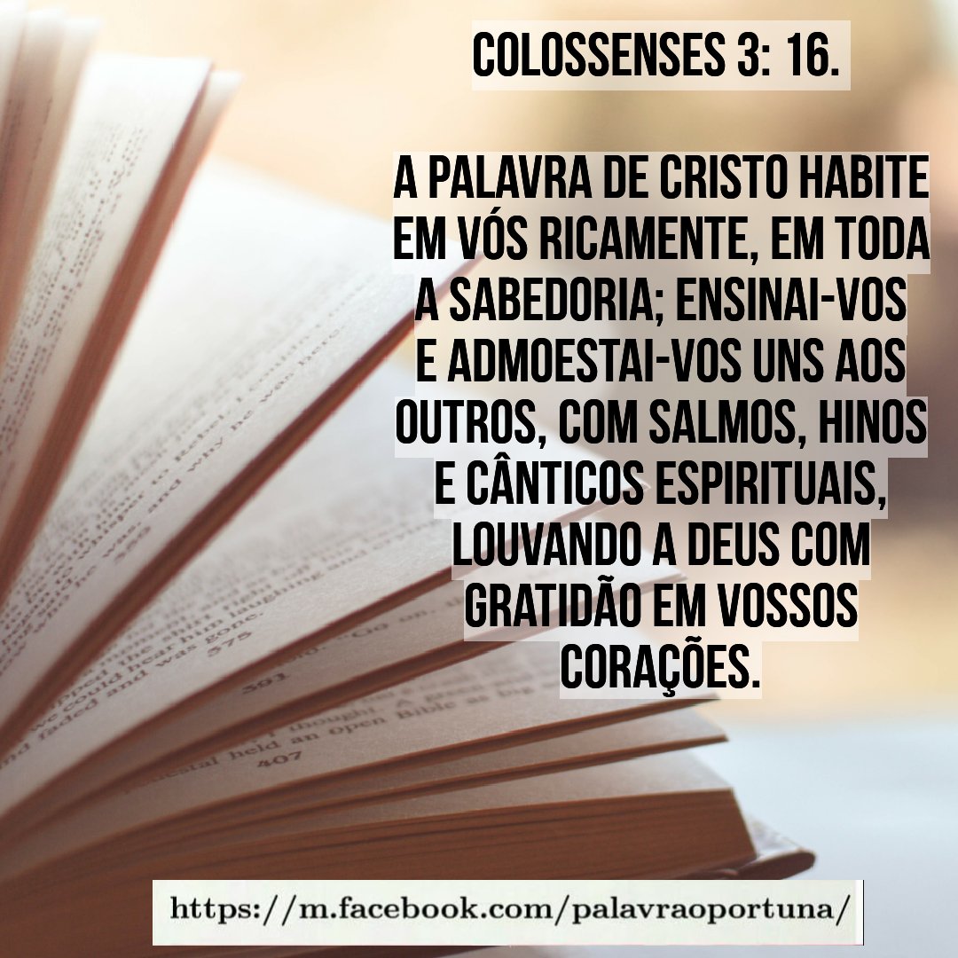 Silvana (@silvana_beta) on Twitter photo 