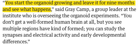AMartinezArias's tweet photo. Sometimes one wonders how misleading can headlines be. No wonder people have odd expectations and fears: minibrains w/Neanderthal DNA? https://t.co/eLUSlxQiQw …. At least the article has a statement about how minibrains are made..... #mythinformation https://t.co/JXYLUuix1c
