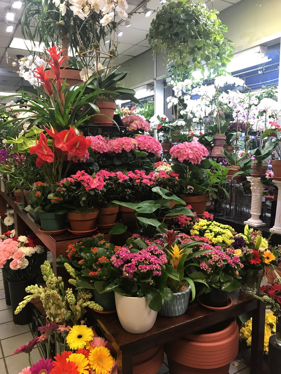 Evas_Garden's tweet photo. It may be gray outside, but inside we’re bursting with beautiful, bright, colors https://t.co/cRPG8HPSNs