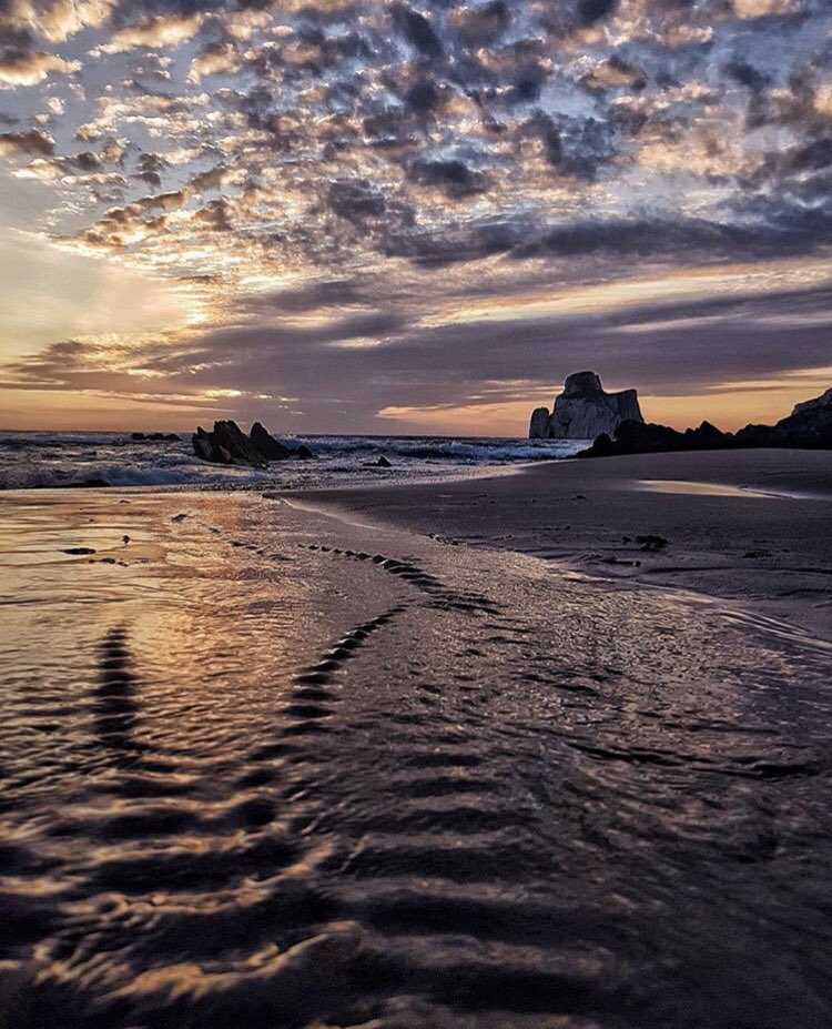 TeamSarda's tweet photo. Welcome to #Sardegna #Sardinia #Sardinien 🌸🌴☀
•
Have a nice weekend! 🌤️
•
📷  "foto 1 from markmurru (Marina di Teulada), foto 2 and 3 from sony_tra (Iglesias, Sardinia)" #sailing #Sundowns #beach #purplesky #italy #EuropeDay2018 https://t.co/6MYZttUjFz