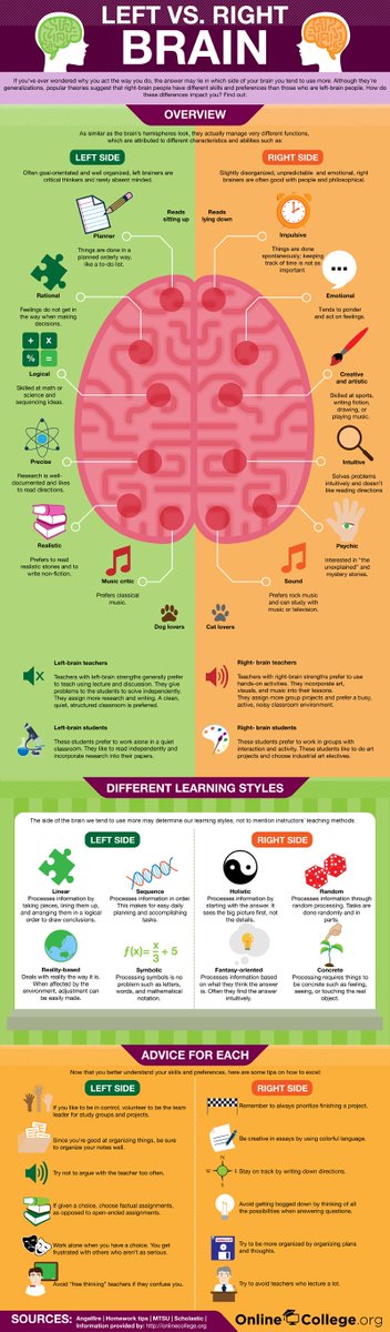 neurolingua's tweet image. If you&apos;ve ever wondered why you act the way you do, the answer may lie in which side of your #brain you tend to use more #neurolinguistics #lateralization