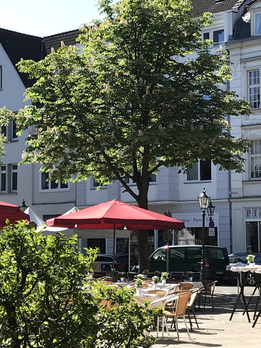 Enjoying #Düsseldorf #living on the #SunnySideofLife