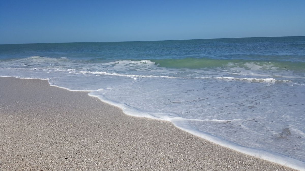 bungalow_b2b's tweet photo. 🏊‍♀️ Swim Safe -- Rip tides happen unannounced. 🌊 If you find yourself uncontrollably getting pulled farther away from shore...don't panic...swim parallel to the shoreline until you break free of the rip tide then swim back to shore.☀️🌞#WaterSafety 
https://t.co/numnHqkn0h https://t.co/oSGFrlfCEt