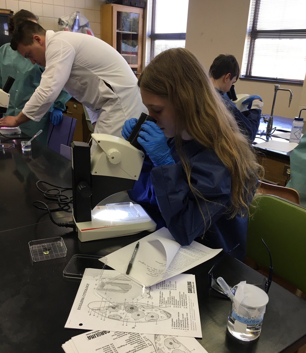 larocheuniv's tweet photo. We invited middle school students to explore the sciences with us today. π©βπ¬π¨βπ¬ #STEM #STEMSavvy https://t.co/m5vbiCZ5Il
