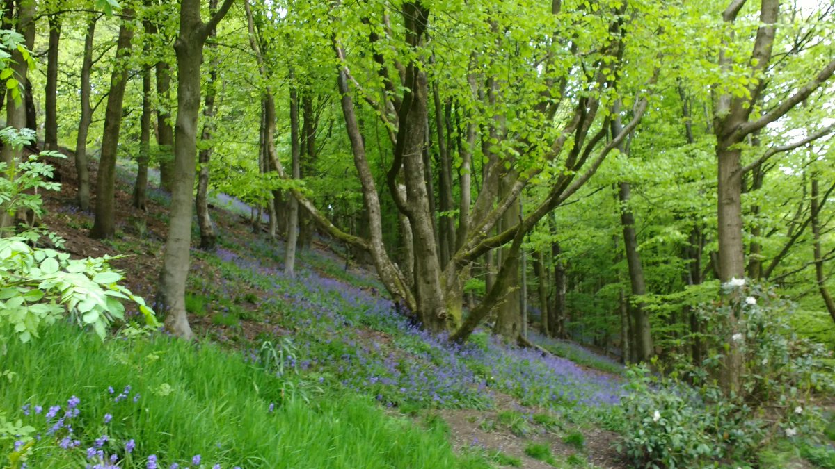 jadejunket_j's tweet photo. @ChadWeather 
Dunwood Park this afternoon https://t.co/JPXZFYR51W