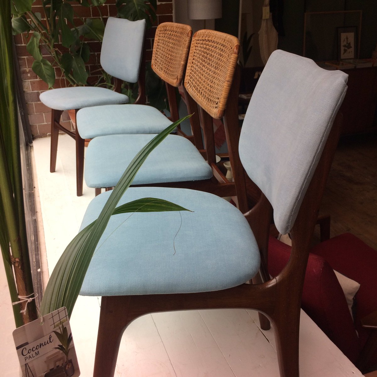 forestlondon's tweet photo. These pairs of dining chairs make a beautiful set of 4 together!
Newly upholstered in the dreamiest pastel blue. ☁️ https://t.co/1SGgZ40TiM