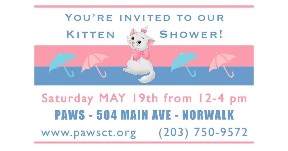 PAWSCT's tweet photo. Save the date! You're invited to our Kitten Shower - Sat May 19 12-4pm. Meet some of the many babies who will soon be ready for homes, learn more about #adopting, #fostering, #volunteering. pls bring an item on our Kitten Wishlist. https://t.co/vY7PSn8e8n #pawsct #NorwalkCT https://t.co/K9xvorJuFJ