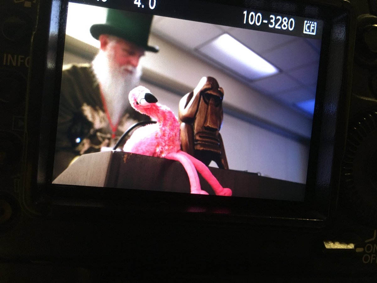 wimzkl's tweet photo. Little did @jack_daniel  + @SufferinBa5tard know they’d make friends with #DancingFlamingos @ #BSidesChicago during this morning’s keynote https://t.co/scDLwOQsaL