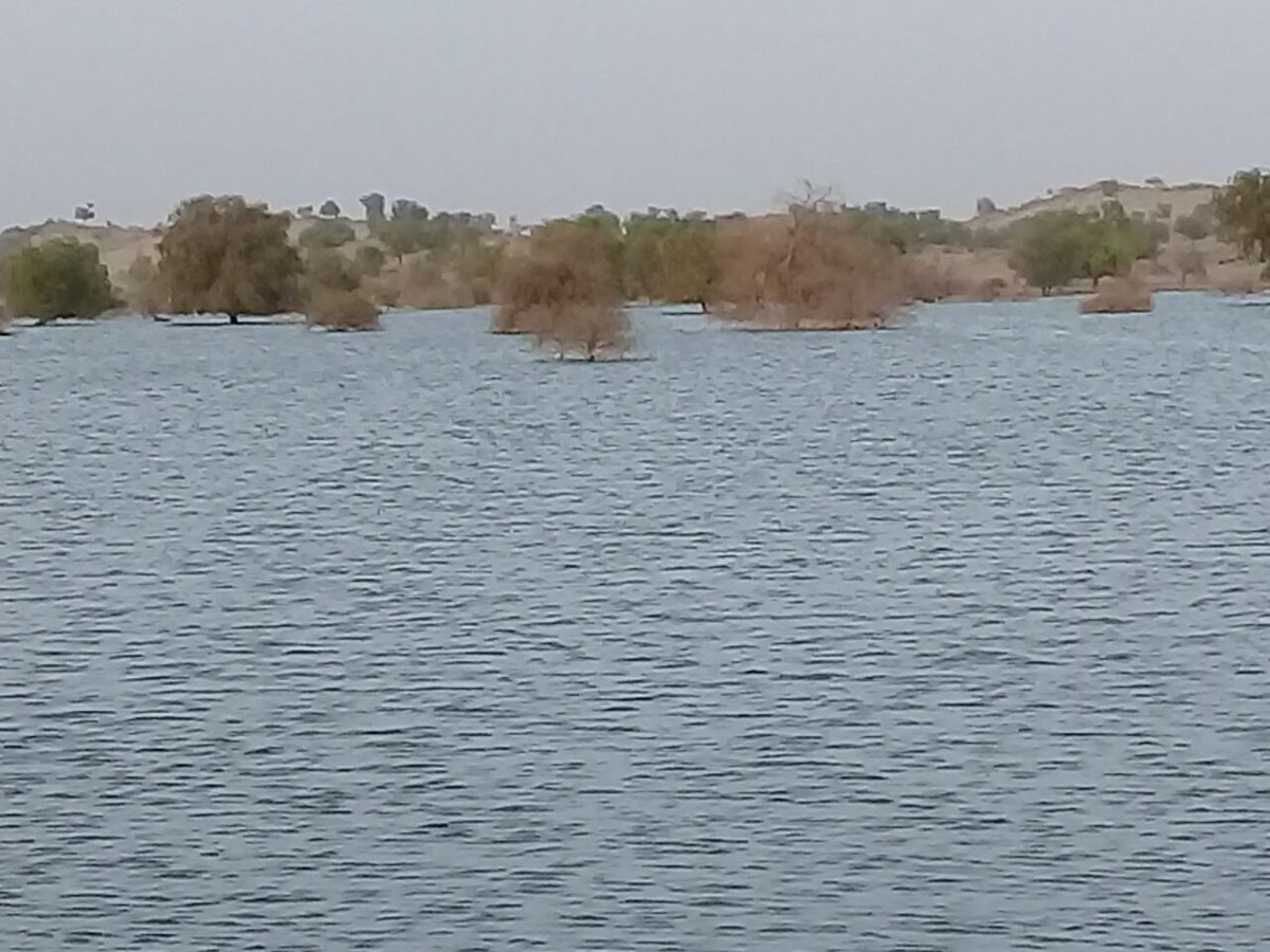 Bheemra77914734's tweet photo. #Drama/ Fraud with #Tharies
#Fishing in coal mine poisonous water.
@BBhuttoZardari @HamidMirPAK https://t.co/B6xFsH2WOu